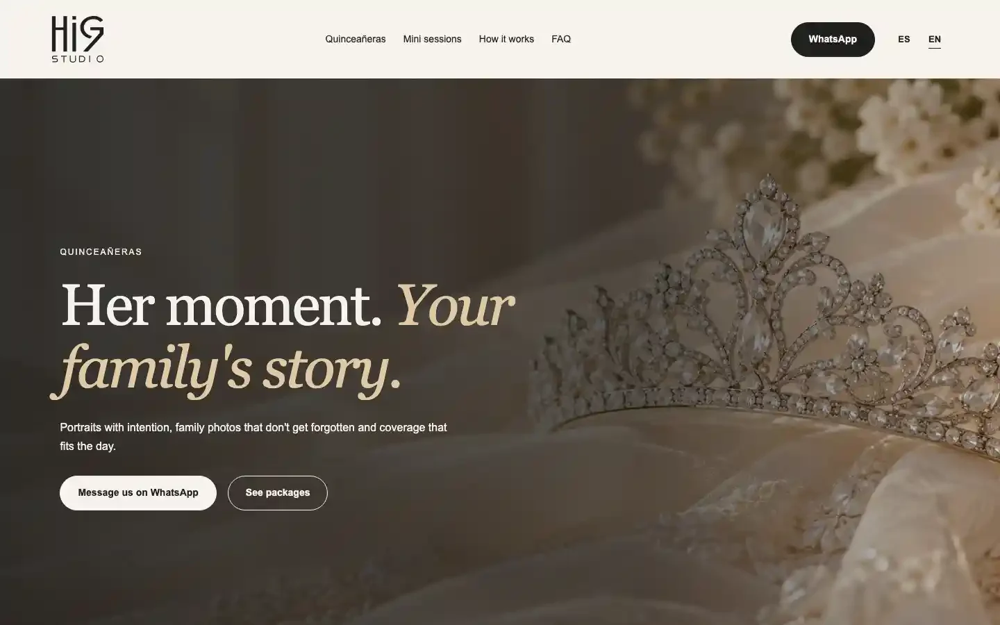 HIG.Studio website design case